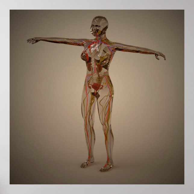 Konzeptuelles Bild des Nervensystems 2 Poster (Vorne)