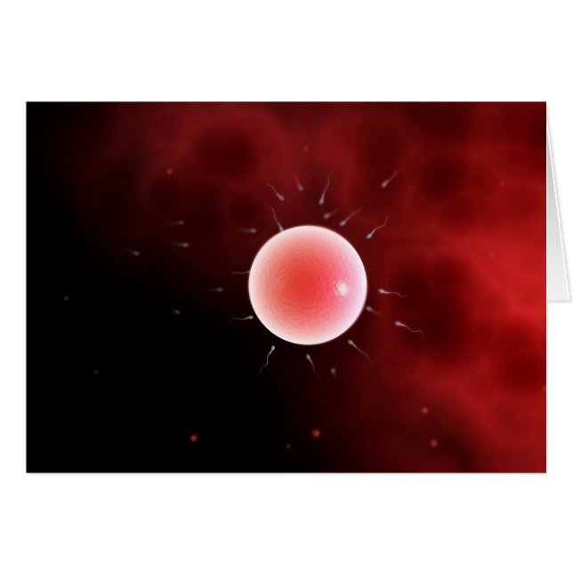 Konzeptuelles Bild einer gemeinsamen Befruchtung (Vorderseite (Horizontal))