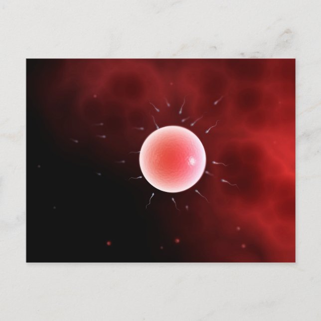 Konzeptuelles Bild einer gemeinsamen Befruchtung Postkarte (Vorderseite)