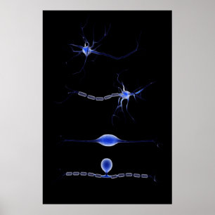 Konzeptuelles Bild einer Neuron 1 Poster