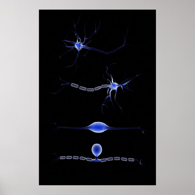 Konzeptuelles Bild einer Neuron 1 Poster (Vorne)