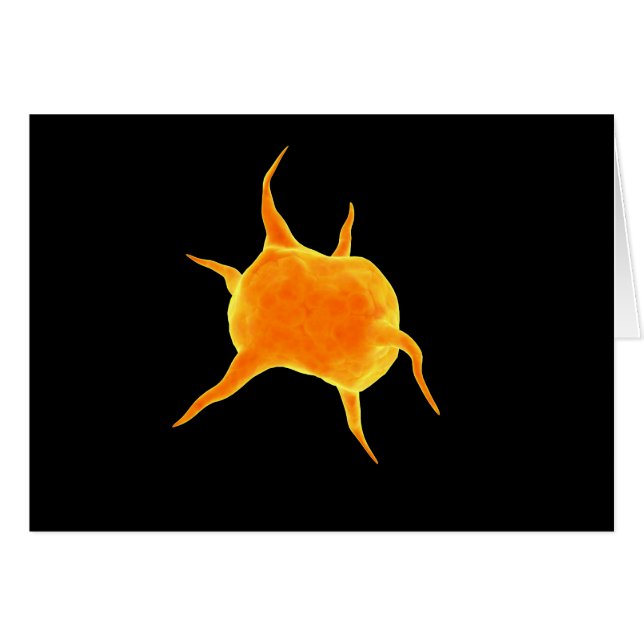 Konzeptuelles Bild einer Thrombozyte (Vorderseite (Horizontal))