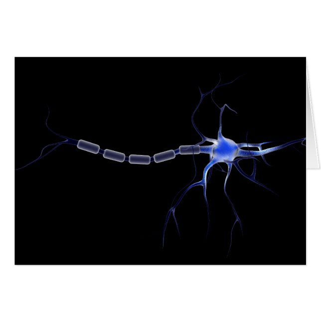 Konzeptuelles Bild eines Neurons 2 (Vorderseite (Horizontal))