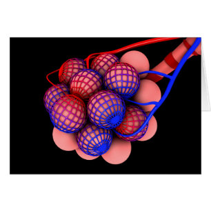 Konzeptuelles Bild von Alveoli 1