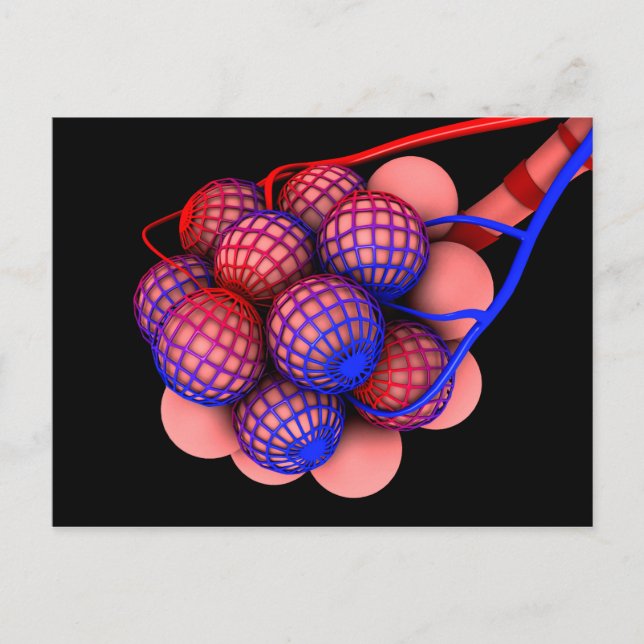 Konzeptuelles Bild von Alveoli 1 Postkarte (Vorderseite)