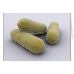 Konzeptuelles Bild von Bakterien 2