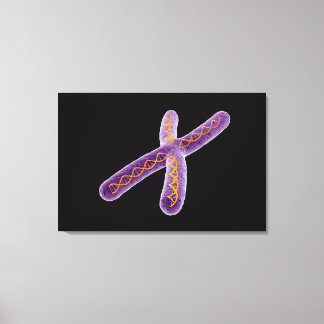 Konzeptuelles Bild von Chromosom 2 Leinwanddruck