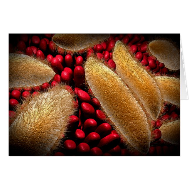 Konzeptuelles Bild von Paramecium 1 (Vorderseite (Horizontal))