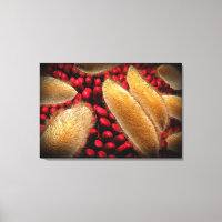 Konzeptuelles Bild von Paramecium 1