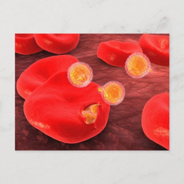 Konzeptuelles Bild von Paramecium 2 Postkarte (Vorderseite)