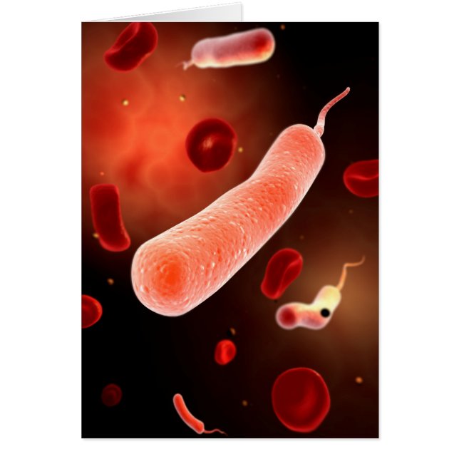 Konzeptuelles Bild von Vibrio Cholerae 2 (Vorne)