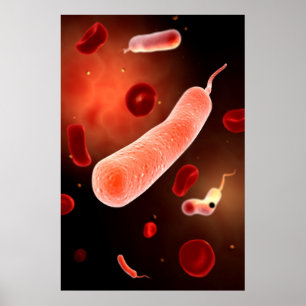 Konzeptuelles Bild von Vibrio Cholerae 2 Poster