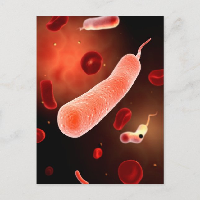 Konzeptuelles Bild von Vibrio Cholerae 2 Postkarte (Vorderseite)