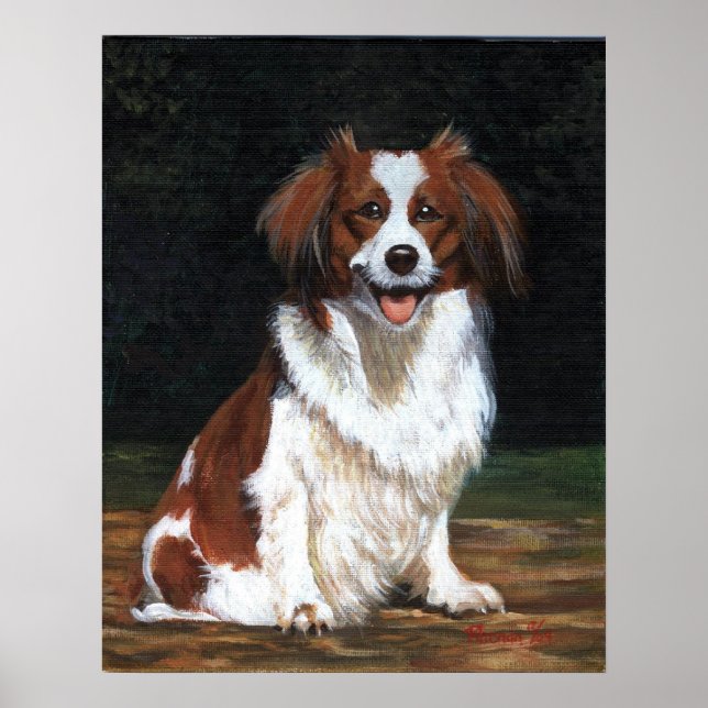 Kooikerhandje Dog Portrait Poster (Vorne)