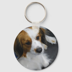 Kooikerhondje Dog Schlüsselanhänger