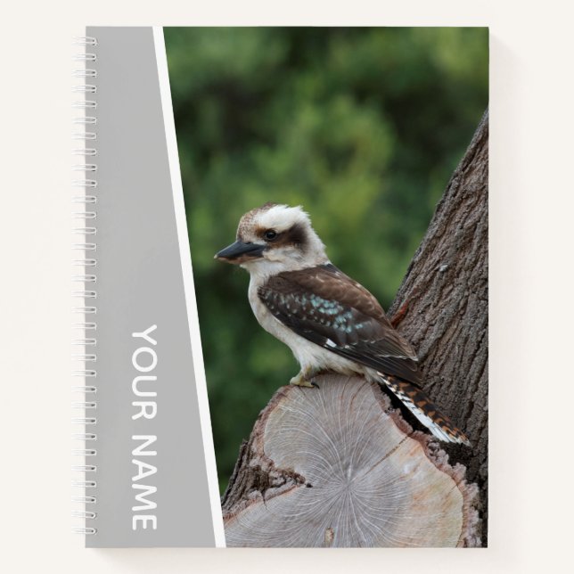 Kookaburra Australia Laughing Bird, Silver Notizbuch (Vorderseite)