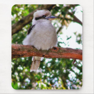 Kookaburra Bird auf einem Baumzweig Mousepad