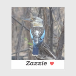 Kookaburra Bird Aufkleber