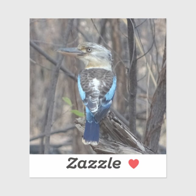 Kookaburra Bird Aufkleber (Blatt)