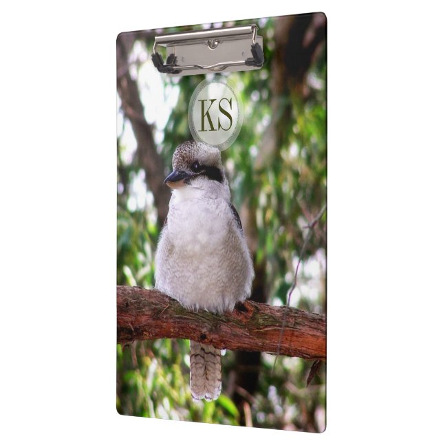Kookaburra Bird Australia Fotografie Klemmbrett (Links)
