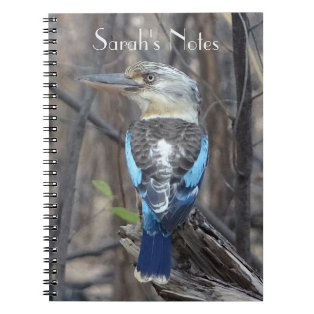 Kookaburra Bird Notizblock (Vorderseite)