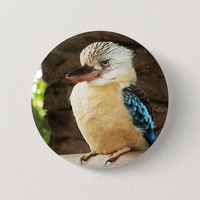 Kookaburra Button (Vorderseite)