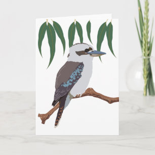 Kookaburra Karte