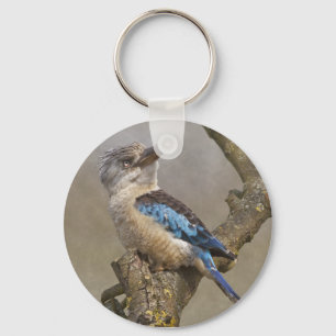 Kookaburra Keyring Schlüsselanhänger