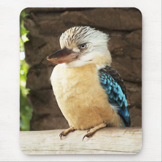 Kookaburra Mousepad