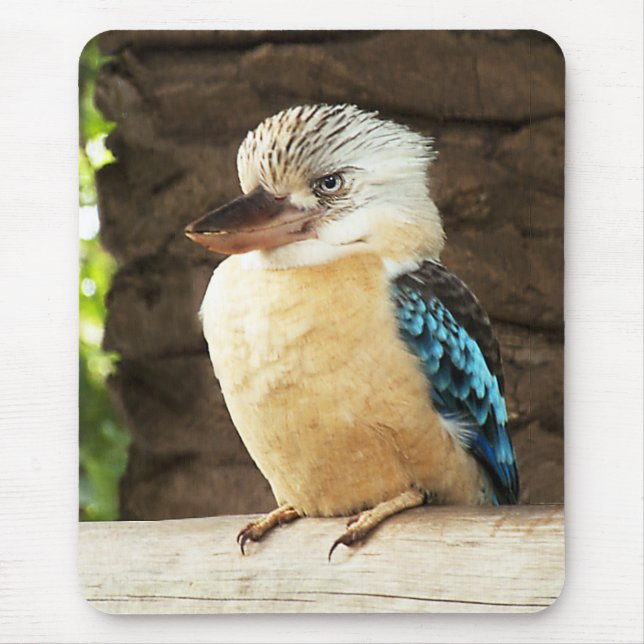 Kookaburra Mousepad (Vorne)