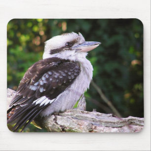 Kookaburra Mousepad