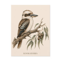 Kookaburra-Postkarte | Bush Edition