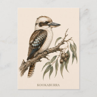Kookaburra-Postkarte | Bush Edition Postkarte