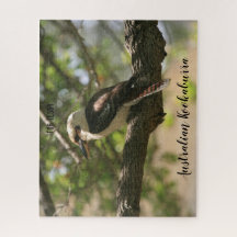Kookaburra