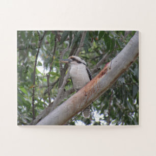 Kookaburra Puzzle