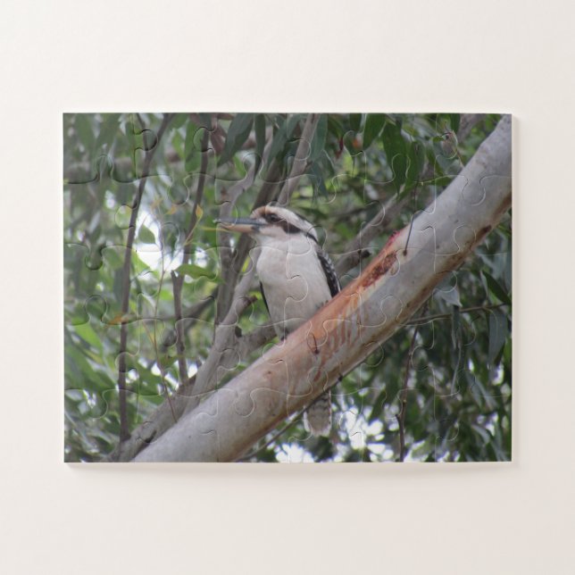 Kookaburra Puzzle (Horizontal)