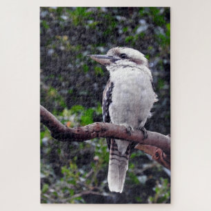 Kookaburra Puzzle