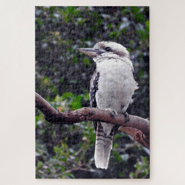 Kookaburra Puzzle (Vertikal)