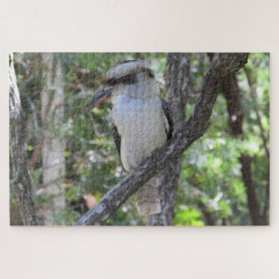 Kookaburra Puzzle