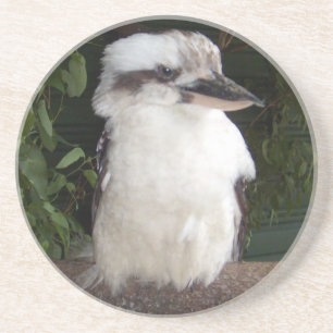 Kookaburra Untersetzer