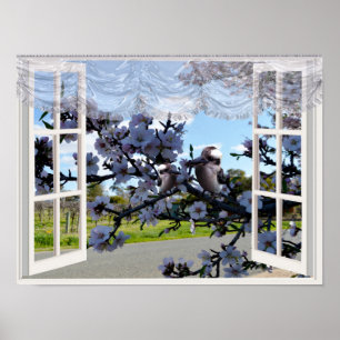 Kookaburras In Meinem Fenster, Poster