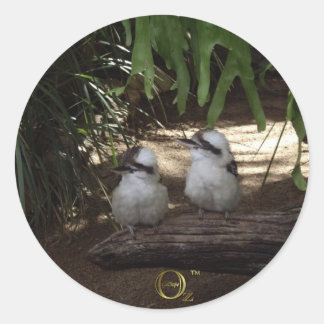 Kookaburras Laughing Runder Aufkleber
