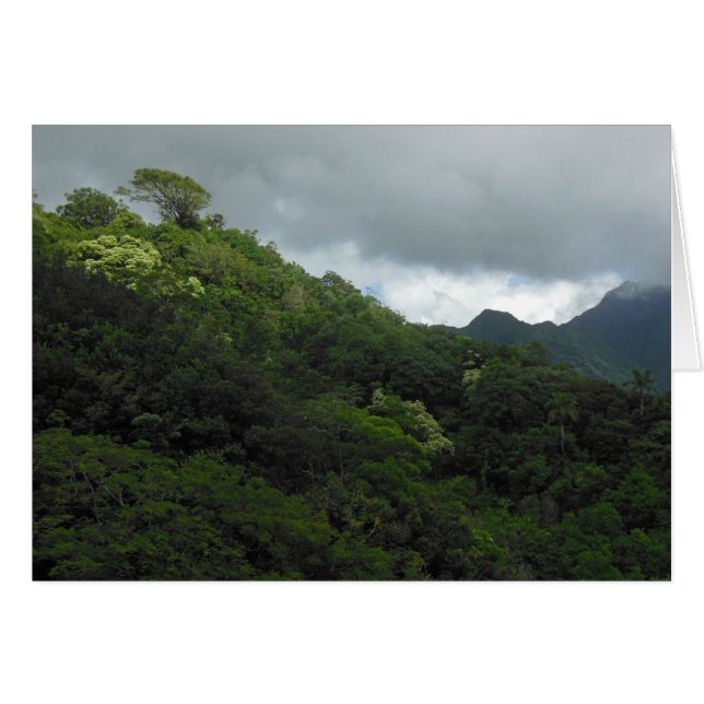 Koolau (Vorderseite (Horizontal))