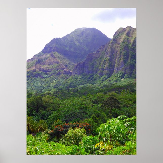 Koolau Poster (Vorne)