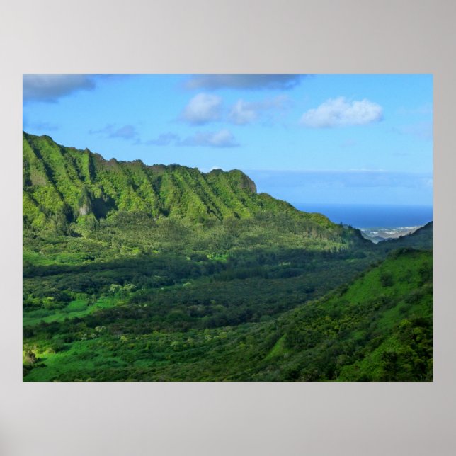 Koolau Poster (Vorne)
