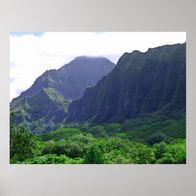 Koolau Poster (Vorne)