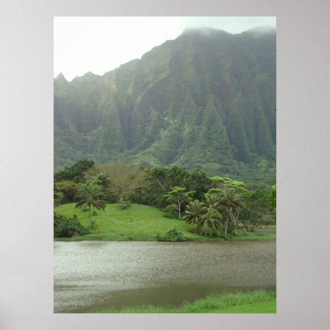 Ko'olau Poster (Vorne)