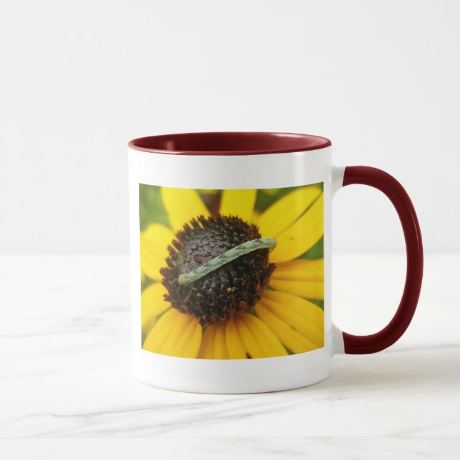 Koordination von Elementen der Moth-Raupe im gemei Tasse (Rechts)