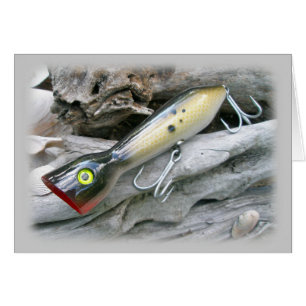 Koordinationselemente für die AJS Saltwater Lure P