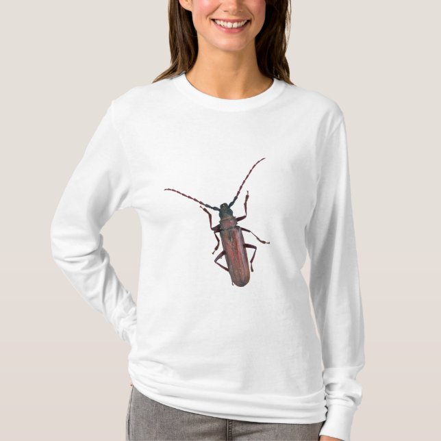 Koordinationselemente für langgestreckte Käfer T-Shirt (Vorderseite)